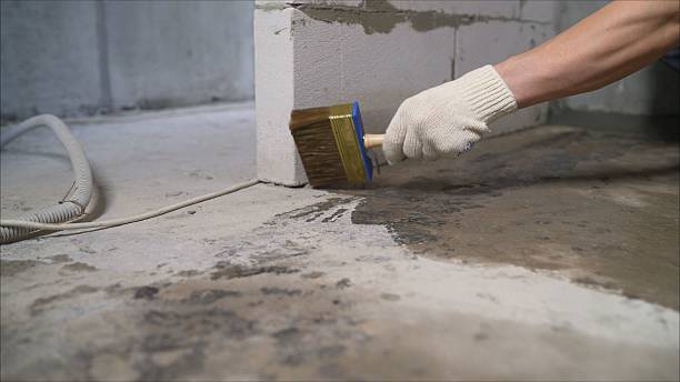 SJ Waterproofing Pros Waterproofing coverage map for Walworth, WI and surrounding area